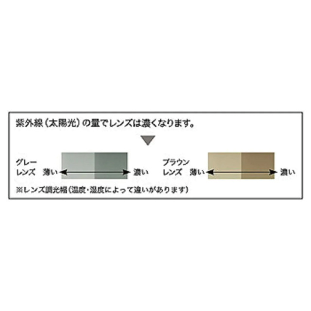 Prince　調整機能付き調光偏光サングラス　PSU233-165　2024SS　ブラック