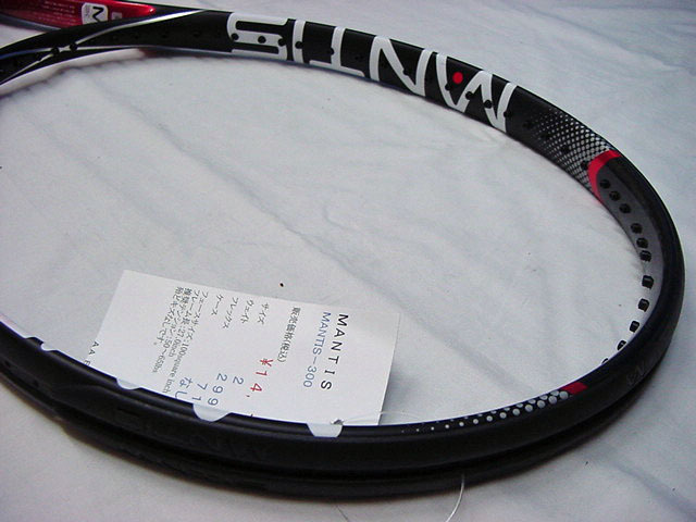 ＭＡＮＴＩＳー３００