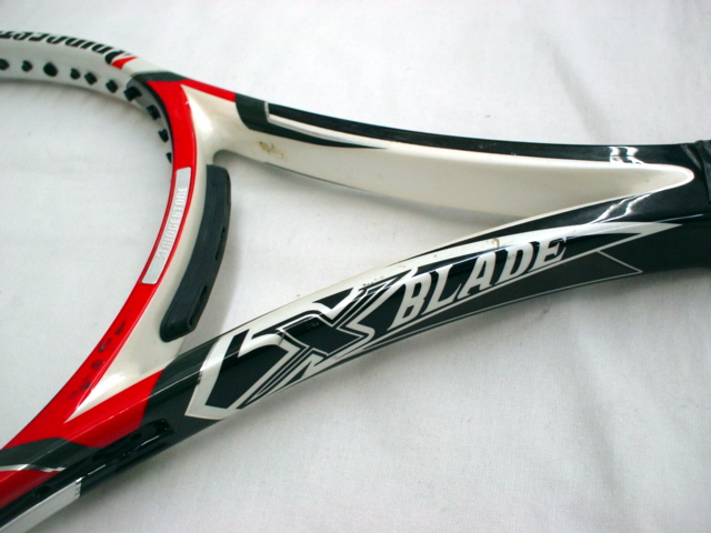 Ｘ?ＢＬＡＤＥ３１０