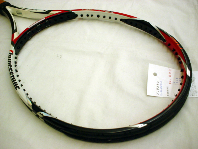 Ｘ?ＢＬＡＤＥ３１０
