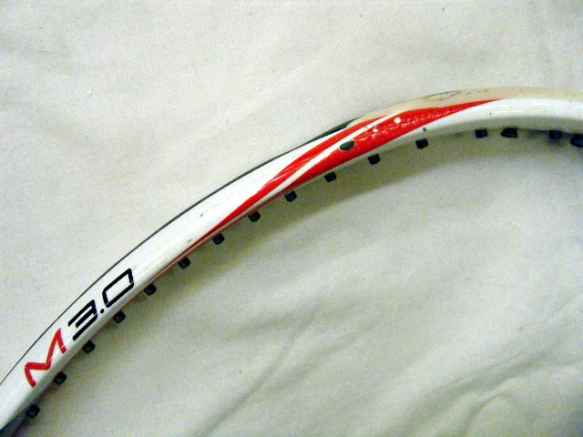 バイオミメティックＭ３．０