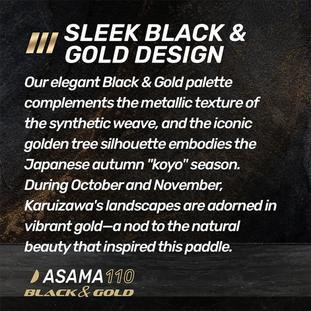 EVERYDAY SOCIAL ピックルボールパドル ASAMA 110 Black&Gold 14mm