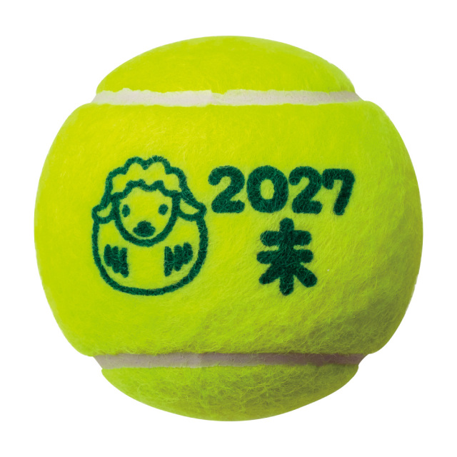 2027干支ボール