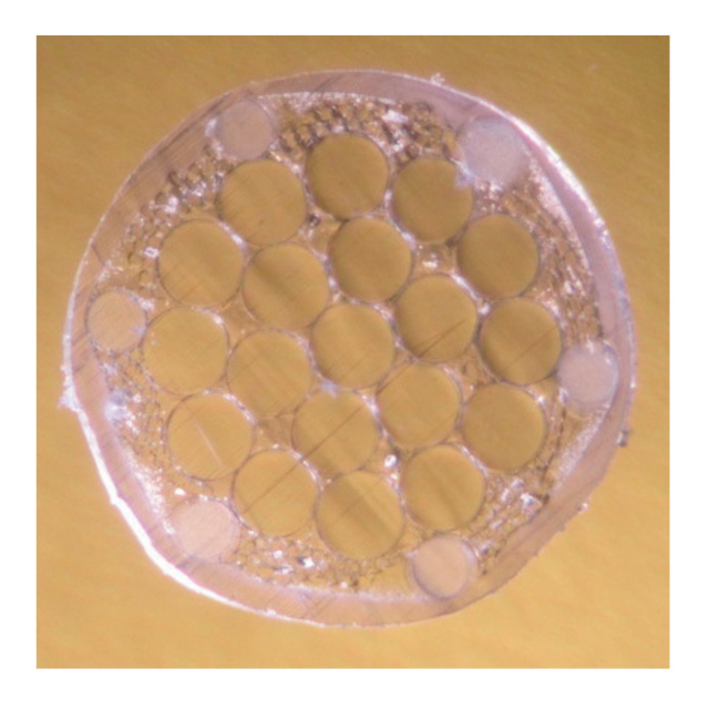 バイオロジック　ダブルエックス