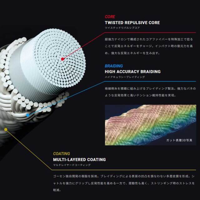 GOSEN ライゾニック65 