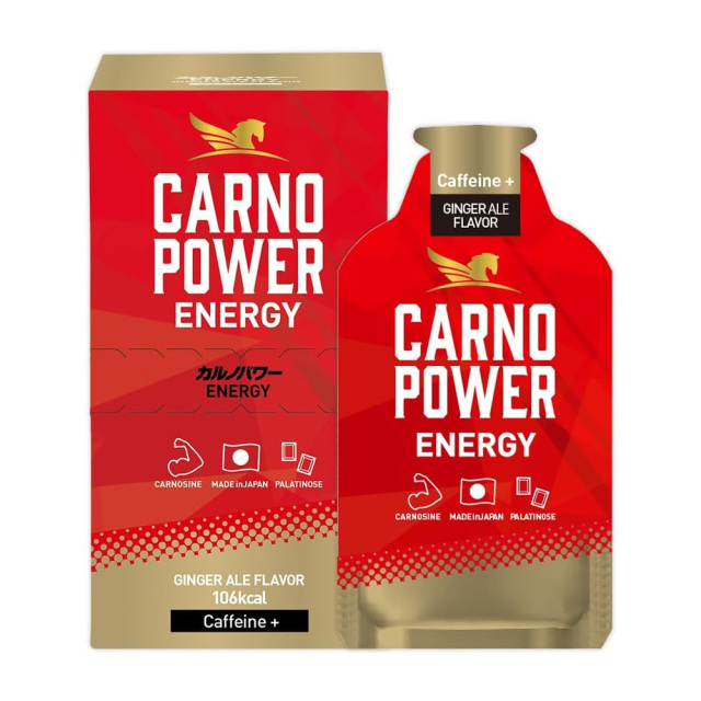 ハマリの健康食品 カルノパワーENERGY ジンジャエール 40g×10個 