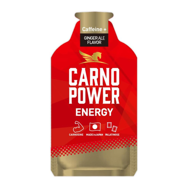 ハマリの健康食品 カルノパワーENERGY ジンジャエール 40g×10個 