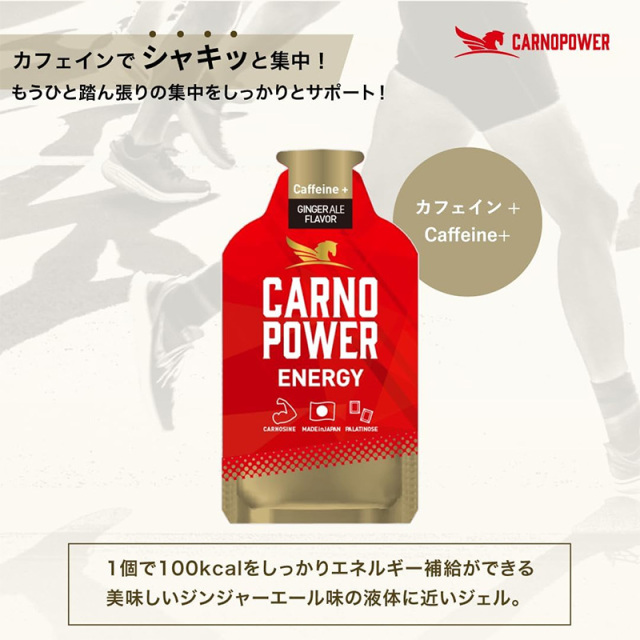 ハマリの健康食品 カルノパワーENERGY ジンジャエール 40g×10個 