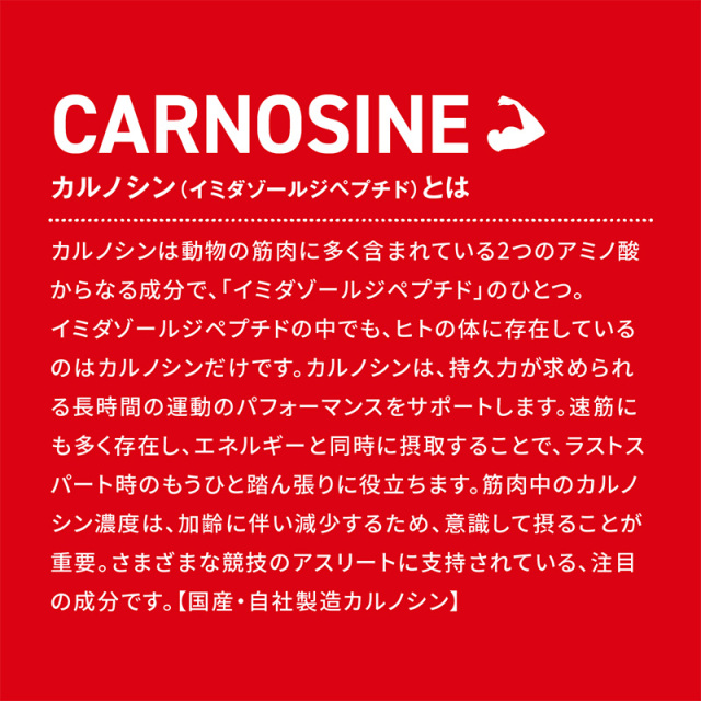 ハマリの健康食品 カルノパワーENERGY ジンジャエール 40g×10個 