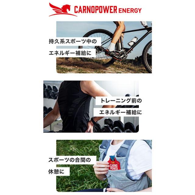ハマリの健康食品 カルノパワーENERGY ジンジャエール 40g×10個 