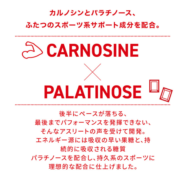 ハマリの健康食品 カルノパワーENERGY メロンソーダ 40g×10個