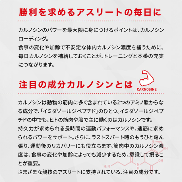 ハマリの健康食品 カルノパワーDAILY 120粒 30日分 
