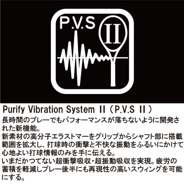 PRINCE　ツアー オースリー 100 (290g)（限定カラー）　7TJ286