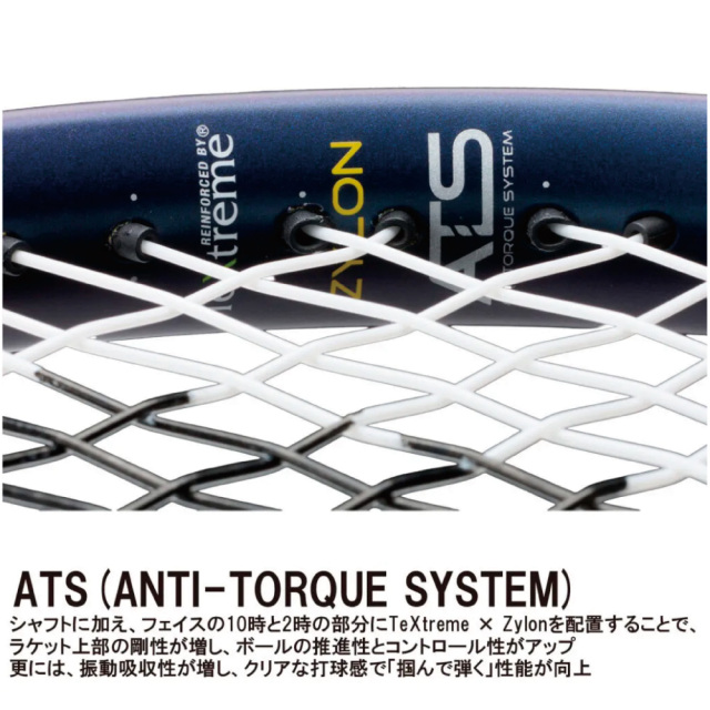 PRINCE ビースト100 (300g)  BEAST100　プリンス　7TJ273　2026FW