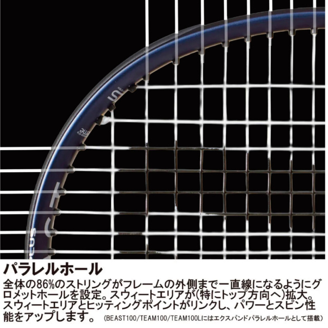 PRINCE ビースト100 (300g)  BEAST100　プリンス　7TJ273　2026FW