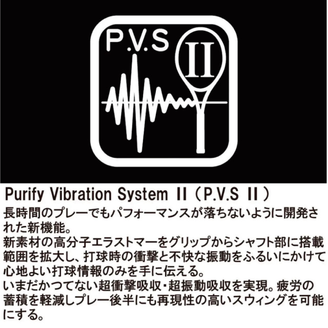 PRINCE ビースト100 (300g)  BEAST100　プリンス　7TJ273　2026FW