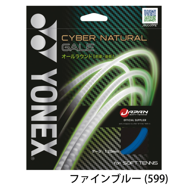 サイバーナチュラルゲイル