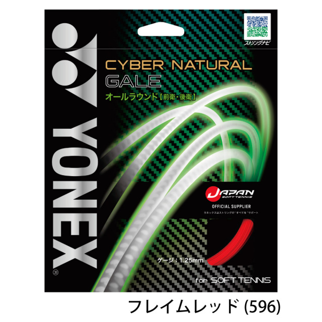 サイバーナチュラルゲイル