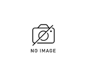 【新・定期便】焼豚2本 700g