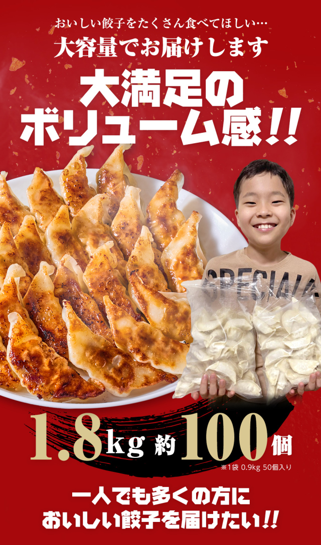 公式通販だけの限定】坂内の餃子 1.8kg 約100個（ベーシック）