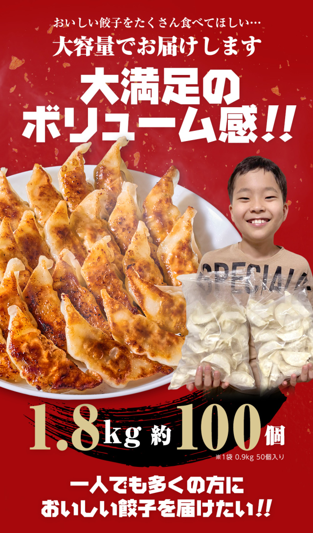 公式通販だけの限定】坂内の餃子 1.8kg 約100個（ベーシック）