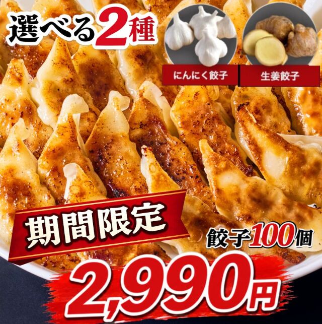 新味発売♪選べる2種【公式通販だけの限定】坂内の餃子 2袋セット（冷凍）1.8kg 約100個 （にんにく餃子・生姜餃子）