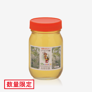 国産純粋はちみつ アカシヤ(600g) [商品番号：0013]