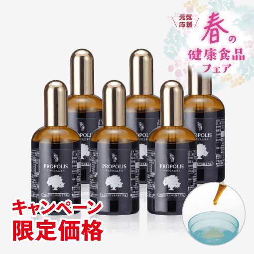 プロポリスエキス(100ml×6本)【キャンペーン限定徳用ボトル】 [商品番号：0740]