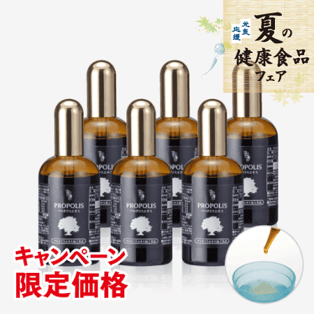 プロポリスエキス(100ml×6本)【キャンペーン限定徳用ボトル】 [商品番号：0740]