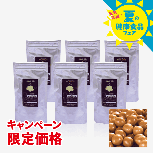 プロポリス粒【キャンペーン限定徳用パック 6袋セット】 [商品番号：0741]