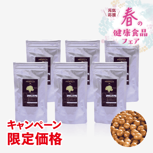 プロポリス粒【キャンペーン限定徳用パック 6袋セット】 [商品番号：0741]