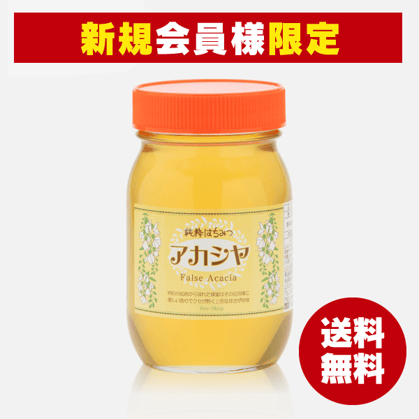 【新規会員様限定】ハンガリー産アカシヤはちみつ(600g) [商品番号：0829]