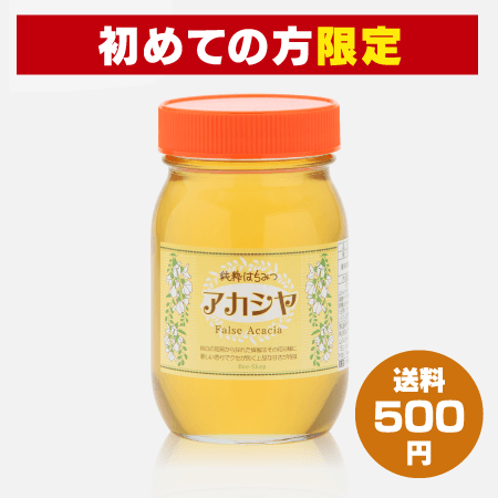 【新規会員様限定】ハンガリー産アカシヤはちみつ(600g) [商品番号：1306]