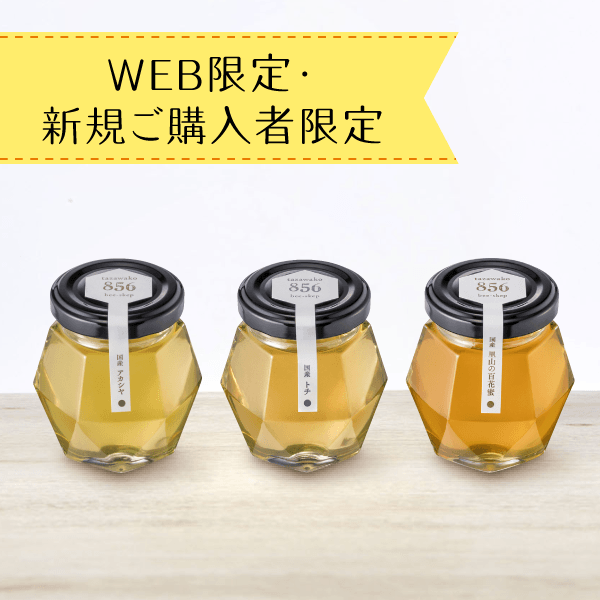 【新規ご購入者限定】国産蜂蜜お試しセットB〈送料無料〉[商品番号：1407]