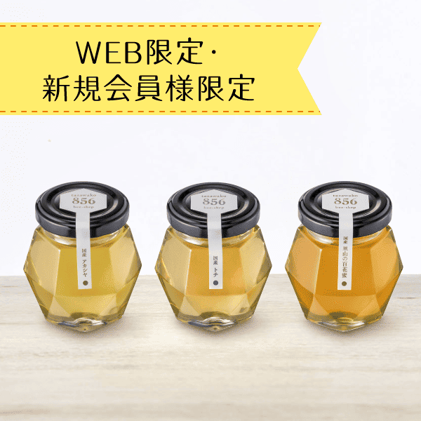 【新規ご購入者限定】国産蜂蜜お試しセットB〈送料無料〉[商品番号：1407]