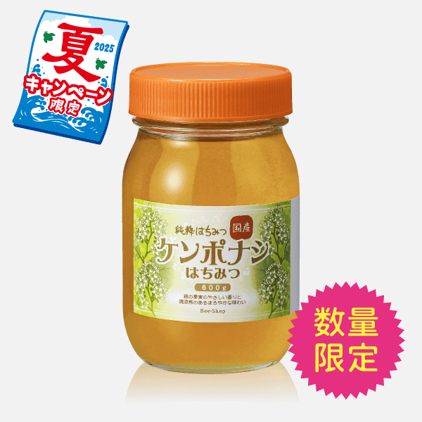 国産はちみつ ケンポナシ(600g) [商品番号：1630]
