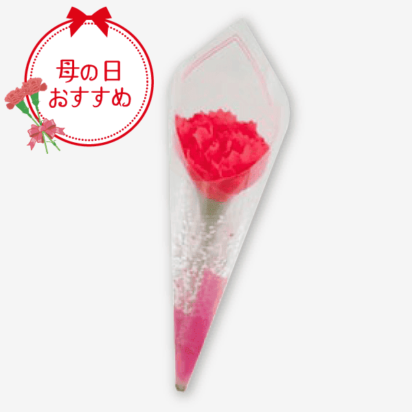 母の日カーネーション [商品番号：1650]