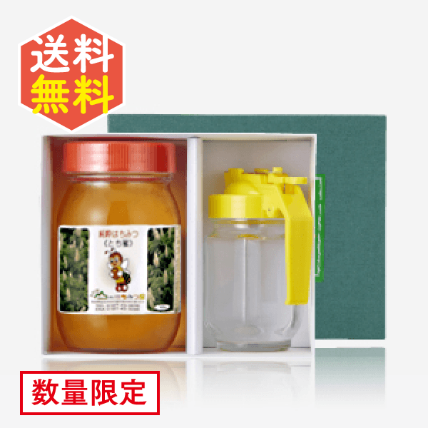 国産テーブルハニーギフト（トチ）  [商品番号：1831]