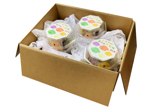 チーズ大好きおさかな家族　3個セット箱