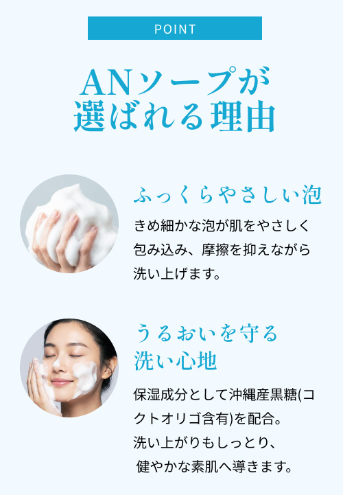 期間限定 アトピナースソープ 100g 4個セット：薬用石鹸 ｜120222_120122