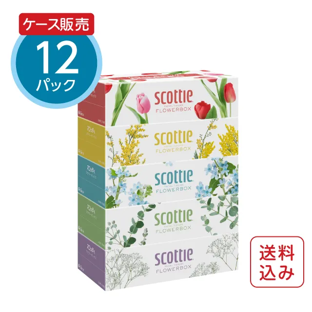 ティッシュペーパー250組スコッティ フラワーボックス