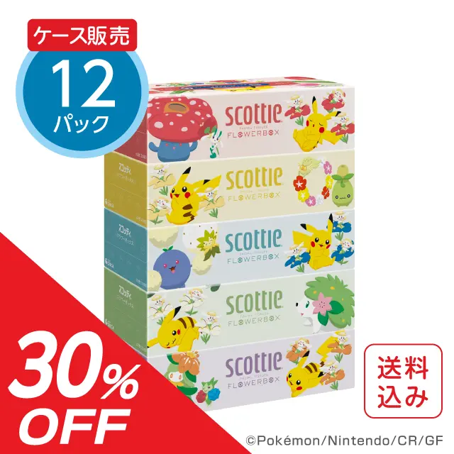 【アウトレット】ティッシュペーパー 250組(500枚) 5箱×12パック スコッティ フラワーボックス ポケモン（ケース販売）