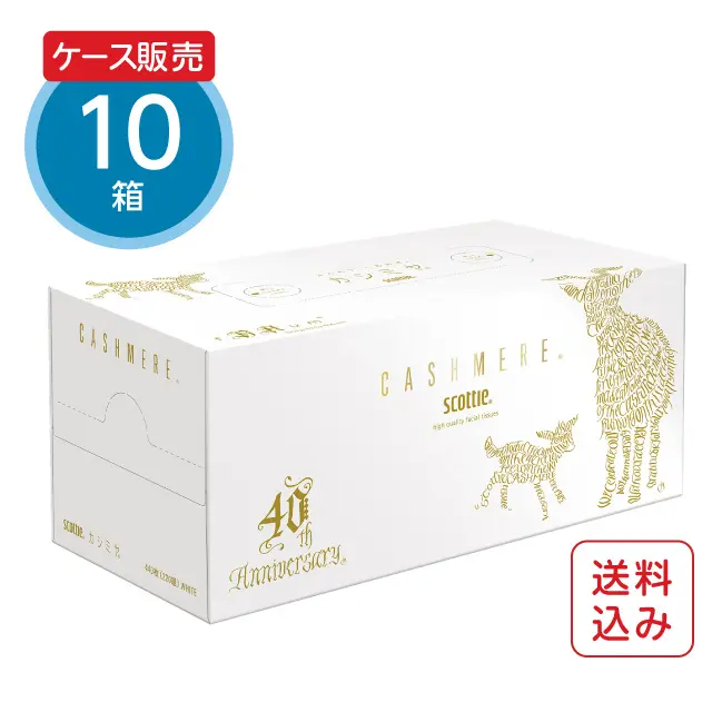 スコッティ カシミヤ 40周年記念 カシミヤヤギ カリグラフィー