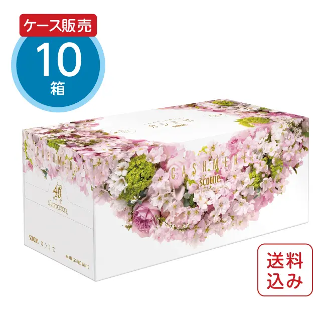 スコッティティッシュカシミヤさくら