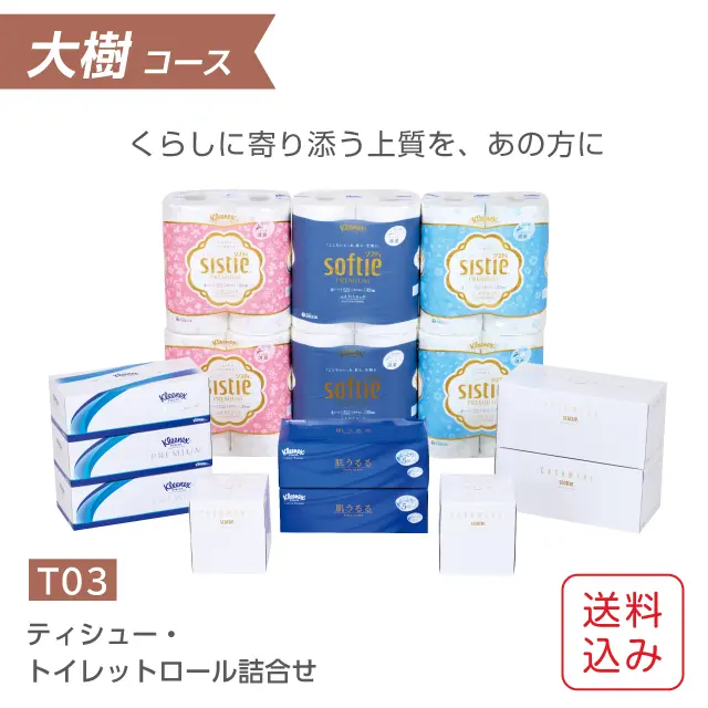 ギフトセット ティッシュ・トイレットペーパー詰合せ クリネックス・スコッティ