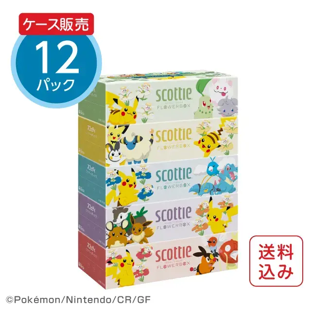 ポケモンティッシュ250組