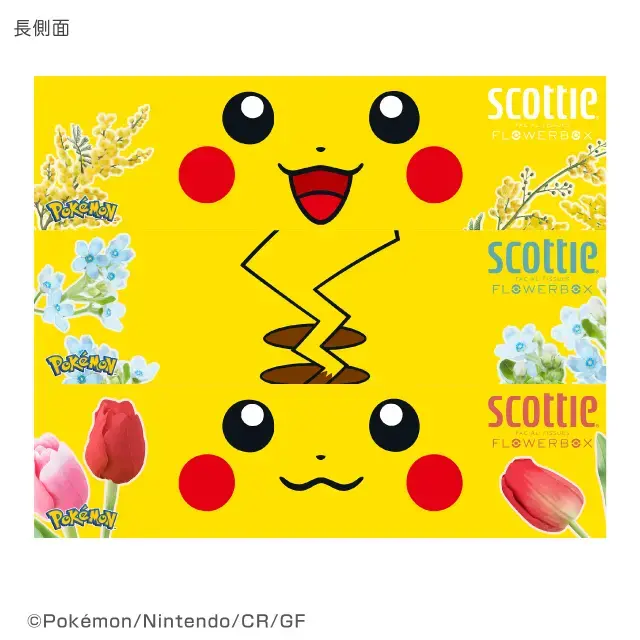 ティッシュペーパー 250組 3箱パック スコッティ×ポケモン