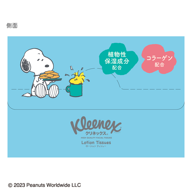 側面のデザイン
