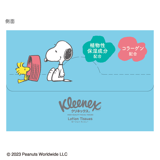 側面のデザイン