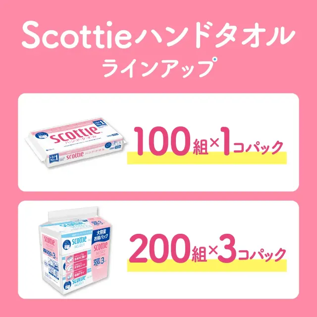 公式】ペーパータオル やわらか 中判 100組(200枚)×60パック